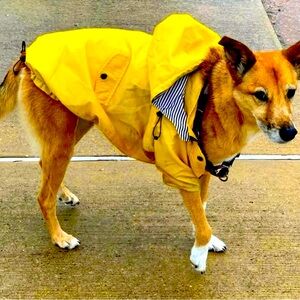 Dog Rain Jacket